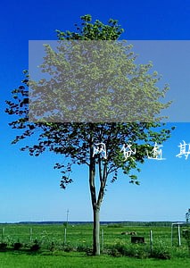 网贷逾期会打几次电话催 网贷逾期会打几次电话催