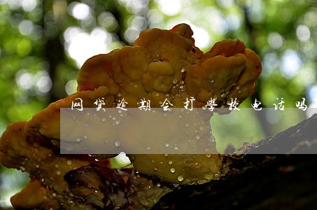 网贷逾期会打学校电话吗