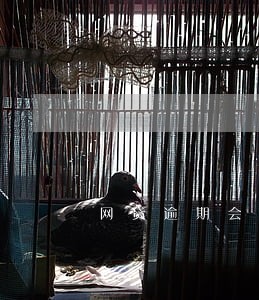 网贷逾期会打家人电话 网贷逾期会打家人电话