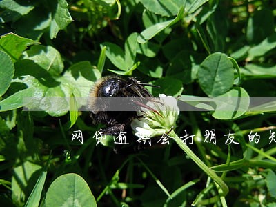 网贷逾期会打朋友的短号吗 网贷逾期会打朋友的短号吗