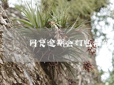 网贷逾期会打电话给身边的人吗 网贷逾期会打电话给身边的人吗