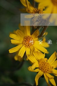 网贷逾期会打给家里人吗 网贷逾期会打给家里人吗