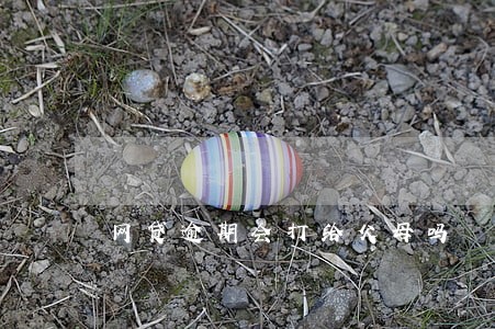 网贷逾期会打给父母吗 网贷逾期会打给父母吗