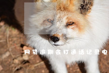 网贷逾期会打通话记录电话吗 网贷逾期会打通话记录电话吗