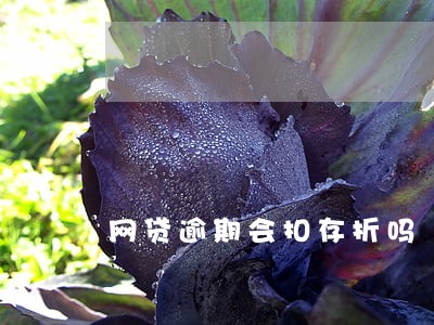 网贷逾期会扣存折吗 网贷逾期会扣存折吗