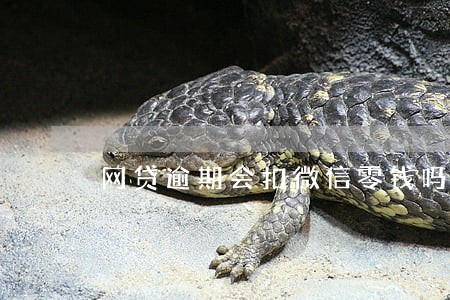 网贷逾期会扣微信零钱吗 网贷逾期会扣微信零钱吗