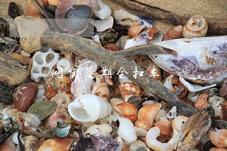 网贷逾期会扣车