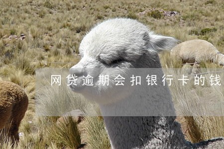 网贷逾期会扣银行卡的钱吗 网贷逾期会扣银行卡的钱吗