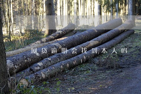 网贷逾期会找到本人吗 网贷逾期会找到本人吗