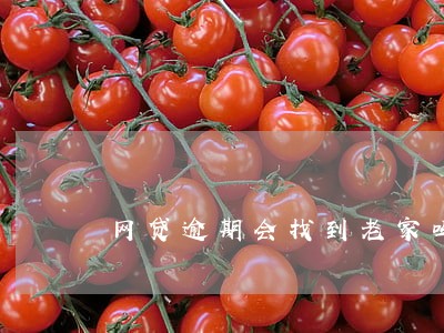 网贷逾期会找到老家吗