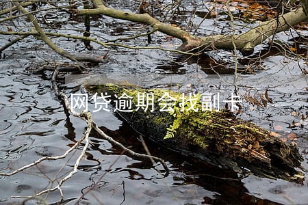 网贷逾期会找副卡 网贷逾期会找副卡