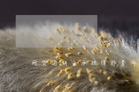 网贷逾期会承担律师费诉讼费吗 网贷逾期会承担律师费诉讼费吗