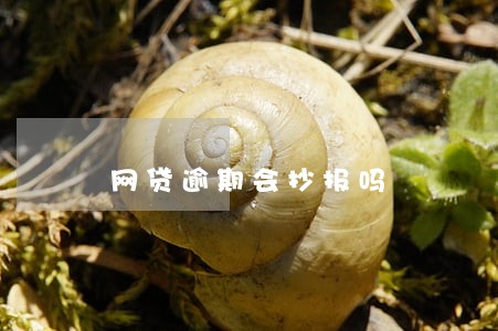网贷逾期会抄报吗 网贷逾期会抄报吗