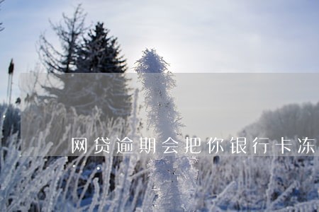 网贷逾期会把你银行卡冻结嘛 网贷逾期会把你银行卡冻结嘛