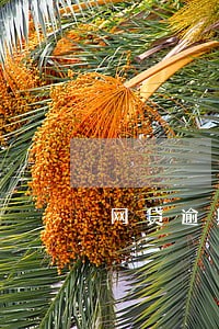网贷逾期会把车开走吗 网贷逾期会把车开走吗