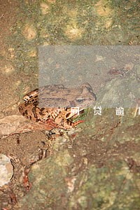 网贷逾期会抵押房产不 网贷逾期会抵押房产不