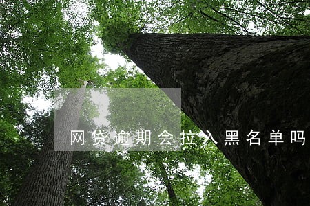 网贷逾期会拉入黑名单吗 网贷逾期会拉入黑名单吗