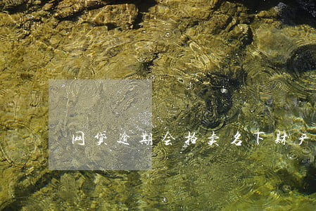 网贷逾期会拍卖名下财产吗 网贷逾期会拍卖名下财产吗