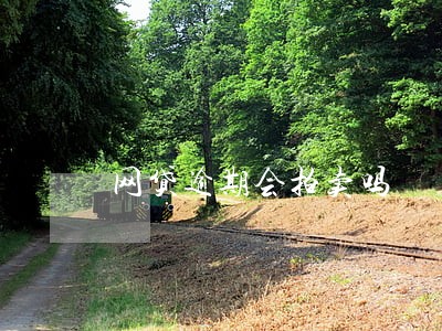 网贷逾期会拍卖吗 网贷逾期会拍卖吗