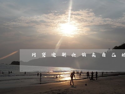 网贷逾期会拍卖自己的按揭车吗 网贷逾期会拍卖自己的按揭车吗