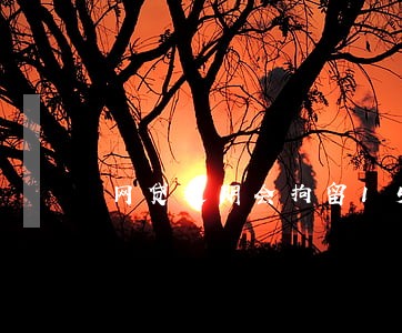 网贷逾期会拘留15天 网贷逾期会拘留15天