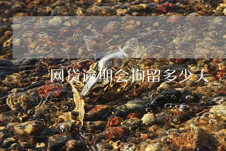 网贷逾期会拘留多少天 网贷逾期会拘留多少天