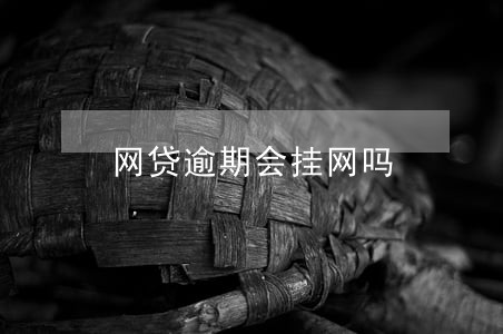 网贷逾期会挂网吗 网贷逾期会挂网吗