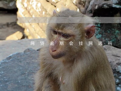 网贷逾期会挂网逃吗 网贷逾期会挂网逃吗
