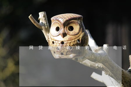 网贷逾期会接到境外电话吗 网贷逾期会接到境外电话吗