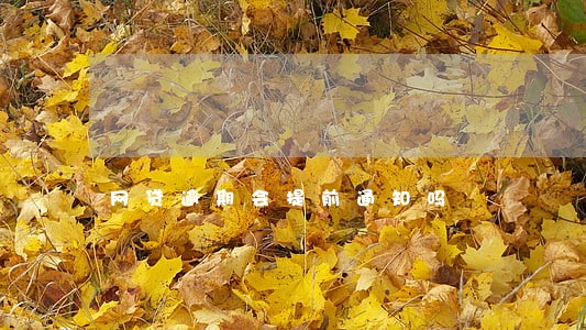 网贷逾期会提前通知吗 网贷逾期会提前通知吗