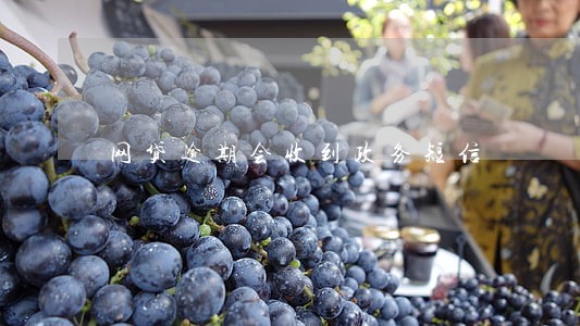 网贷逾期会收到政务短信 网贷逾期会收到政务短信