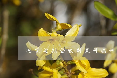 网贷逾期会收到案件函件吗 网贷逾期会收到案件函件吗