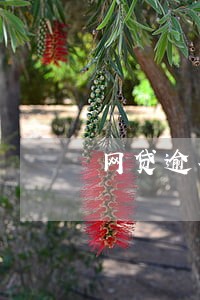 网贷逾期会收罚金 网贷逾期会收罚金