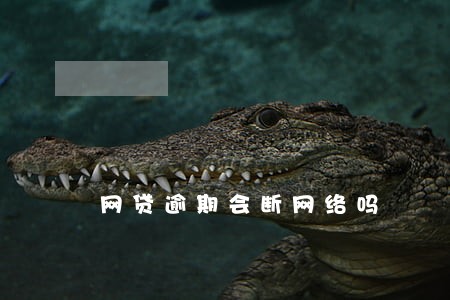 网贷逾期会断网络吗 网贷逾期会断网络吗