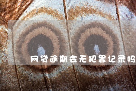 网贷逾期会无犯罪记录吗 网贷逾期会无犯罪记录吗