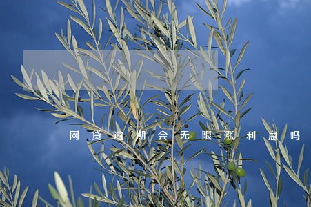 网贷逾期会无限涨利息吗 网贷逾期会无限涨利息吗