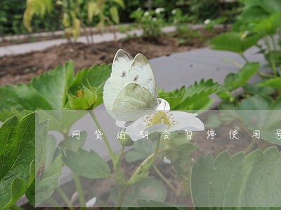 网贷逾期会暂停使用号码吗 网贷逾期会暂停使用号码吗