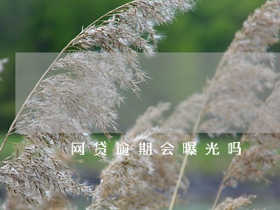 网贷逾期会曝光吗