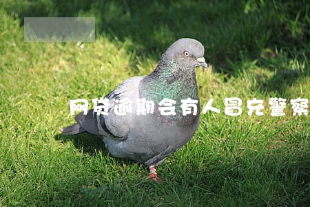 网贷逾期会有人冒充警察上门吗 网贷逾期会有人冒充警察上门吗
