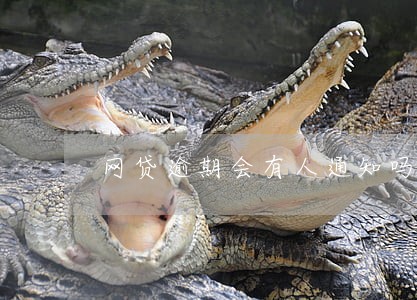 网贷逾期会有人通知吗 网贷逾期会有人通知吗