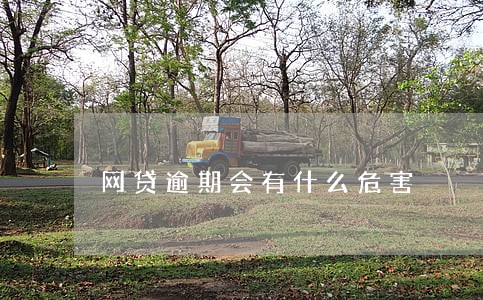 网贷逾期会有什么危害 网贷逾期会有什么危害