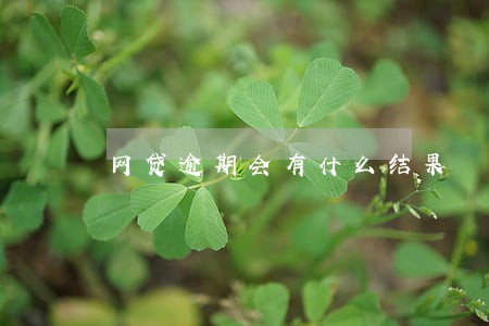 网贷逾期会有什么结果 网贷逾期会有什么结果