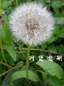 网贷逾期会有包裹吗 网贷逾期会有包裹吗