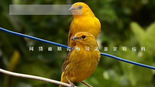 网贷逾期会有司法鉴定短信吗 网贷逾期会有司法鉴定短信吗