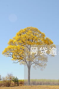 网贷逾期会有外访么 网贷逾期会有外访么