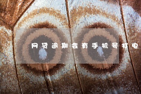 网贷逾期会有手机号打电话来吗 网贷逾期会有手机号打电话来吗