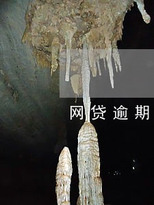 网贷逾期会有社区联系 网贷逾期会有社区联系