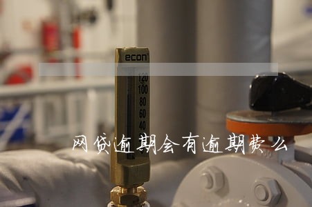 网贷逾期会有逾期费么