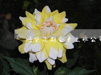 网贷逾期会来上班公司找人吗 网贷逾期会来上班公司找人吗