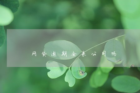 网贷逾期会来公司吗 网贷逾期会来公司吗